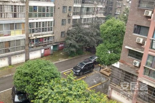 株洲順鑫佳園深度解析 優點、不足與周邊房產經紀評價