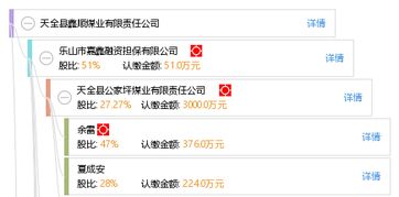 天全縣鑫順煤業有限責任公司 中興順鑫 區域煤炭產業的支柱與轉型探索